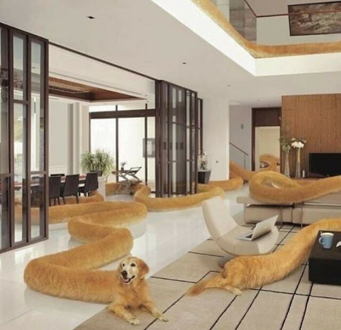 35 fotos aleatórias para alimentar seu sentido de satisfação 17