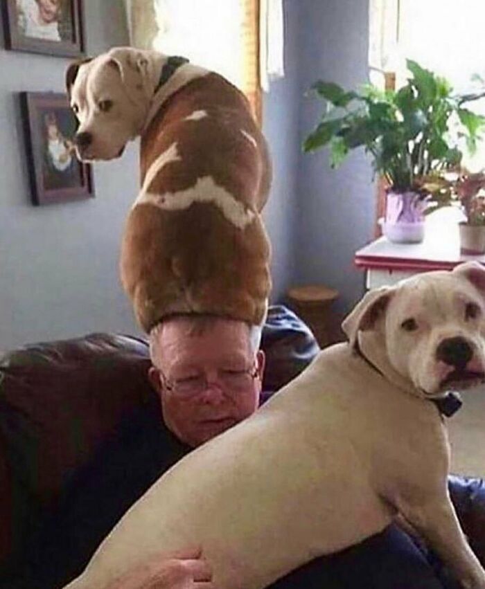 35 fotos aleatórias para alimentar seu sentido de satisfação 20