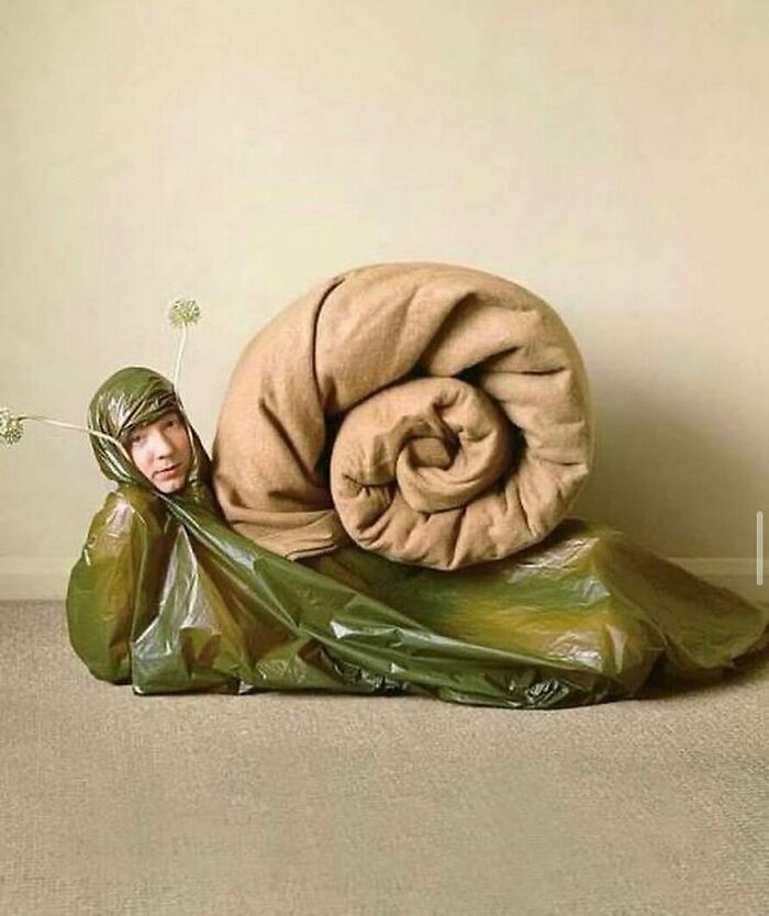 35 fotos aleatórias para alimentar seu sentido de satisfação 21