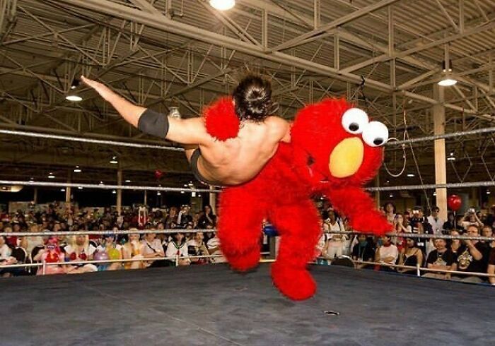 35 fotos aleatórias para alimentar seu sentido de satisfação 28