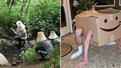 35 fotos aleatórias para alimentar seu sentido de satisfação 9