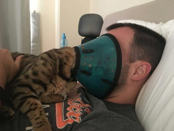 42 fotos incríveis que capturam o espírito felino de forma única 22