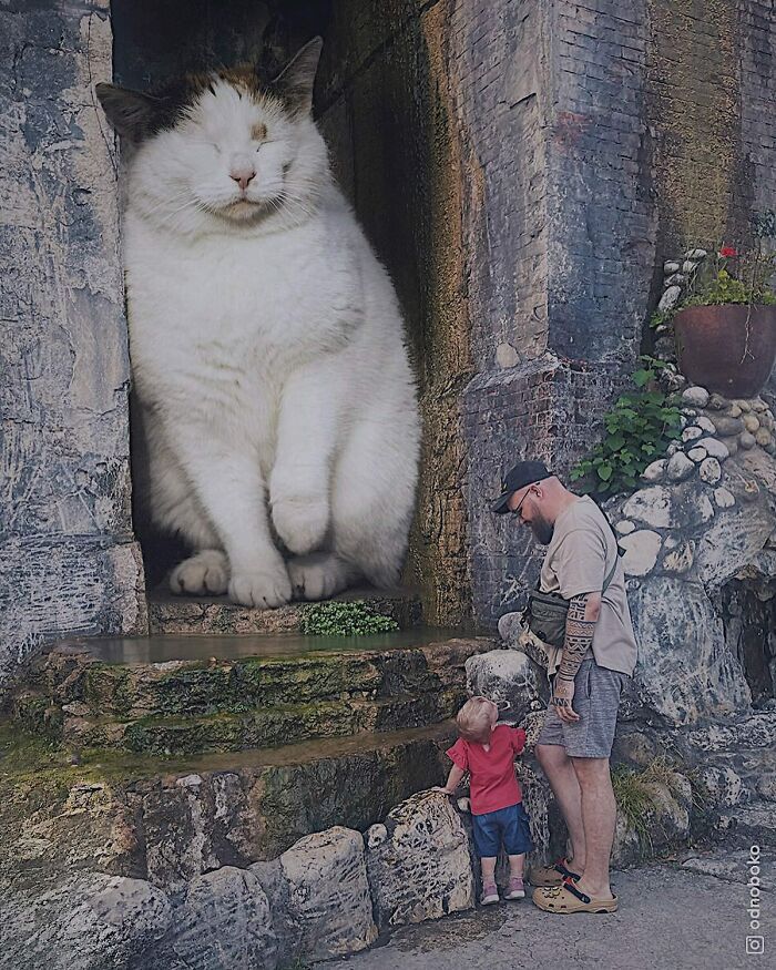 Gatos gigantes: Artista cria imagens realistas (42 fotos) 1