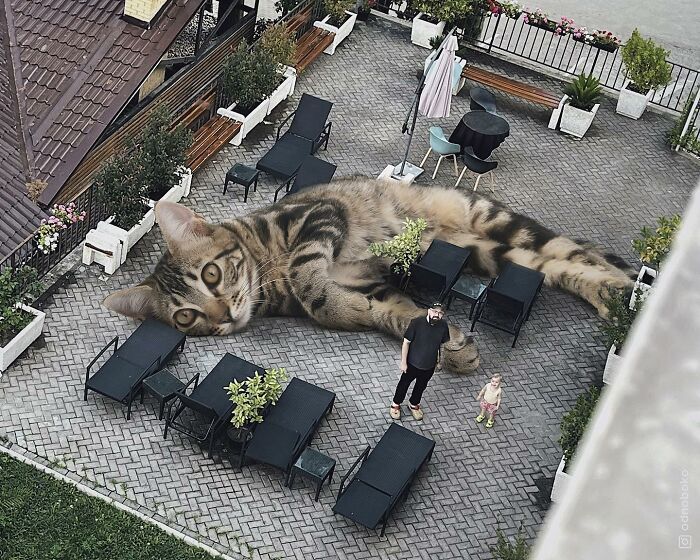 Gatos gigantes: Artista cria imagens realistas (42 fotos) 2