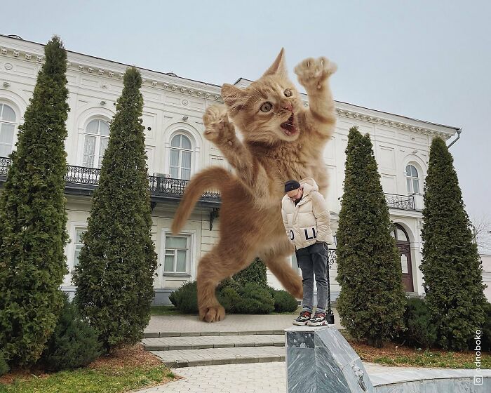 Gatos gigantes: Artista cria imagens realistas (42 fotos) 5
