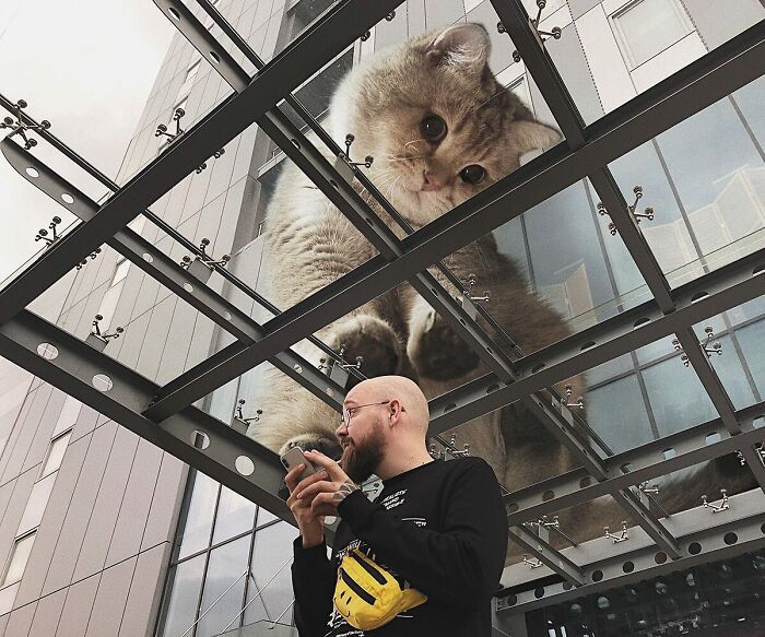 Gatos gigantes: Artista cria imagens realistas (42 fotos) 11