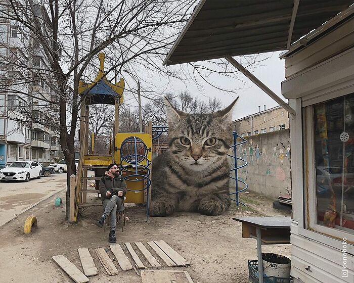 Gatos gigantes: Artista cria imagens realistas (42 fotos) 13