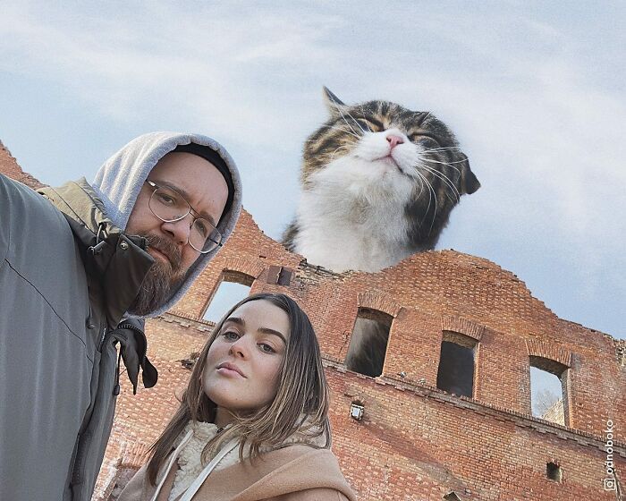 Gatos gigantes: Artista cria imagens realistas (42 fotos) 14