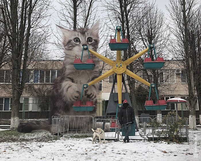 Gatos gigantes: Artista cria imagens realistas (42 fotos) 15