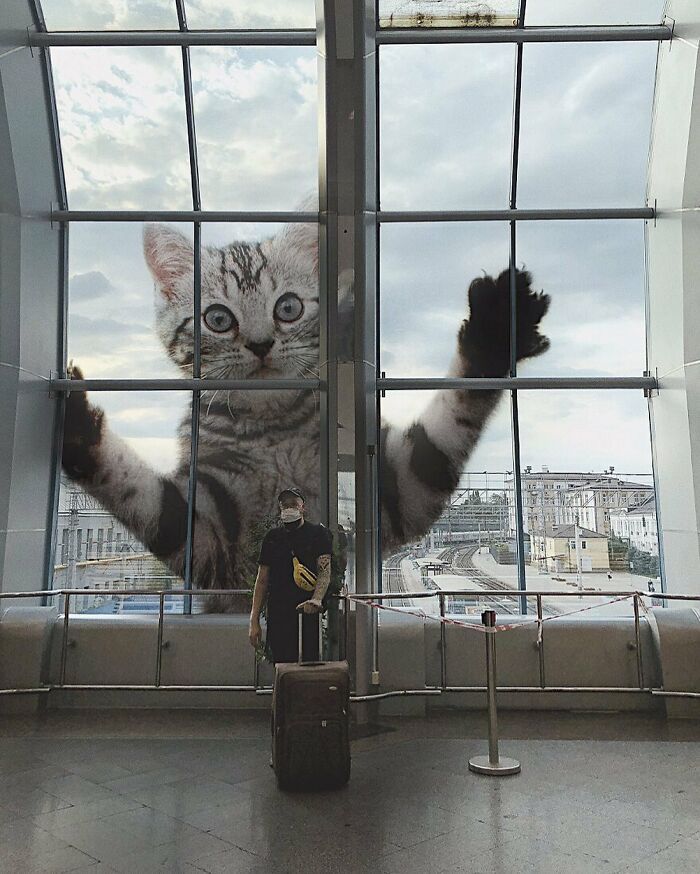 Gatos gigantes: Artista cria imagens realistas (42 fotos) 17