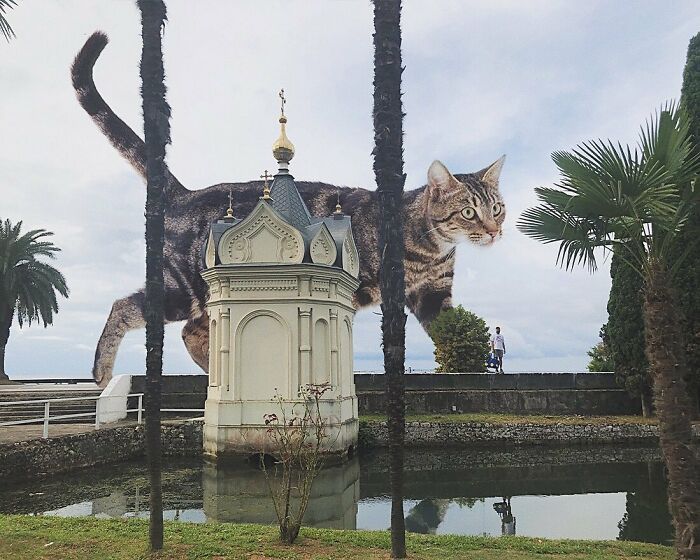 Gatos gigantes: Artista cria imagens realistas (42 fotos) 19