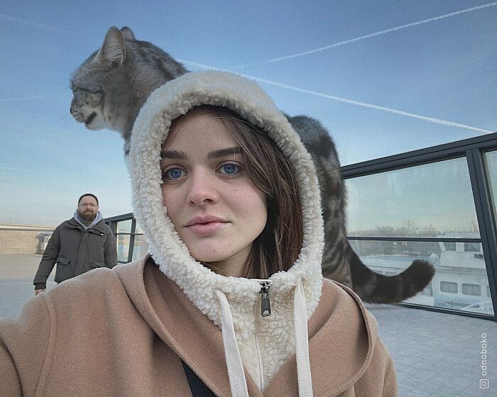 Gatos gigantes: Artista cria imagens realistas (42 fotos) 22