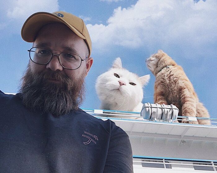 Gatos gigantes: Artista cria imagens realistas (42 fotos) 26