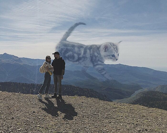 Gatos gigantes: Artista cria imagens realistas (42 fotos) 33