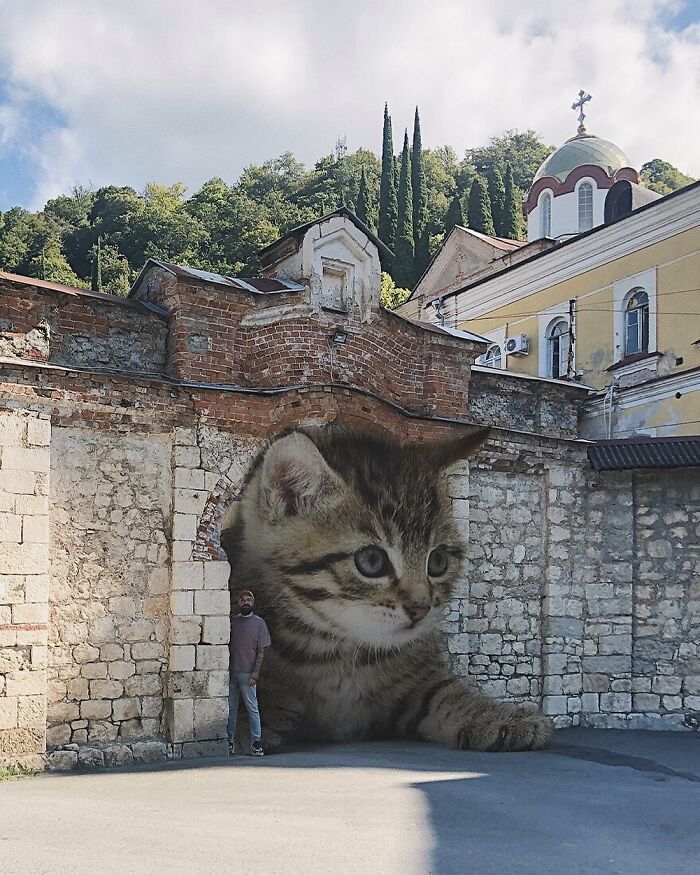 Gatos gigantes: Artista cria imagens realistas (42 fotos) 34