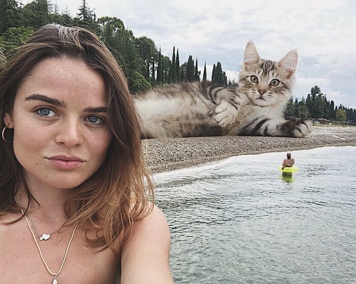 Gatos gigantes: Artista cria imagens realistas (42 fotos) 37