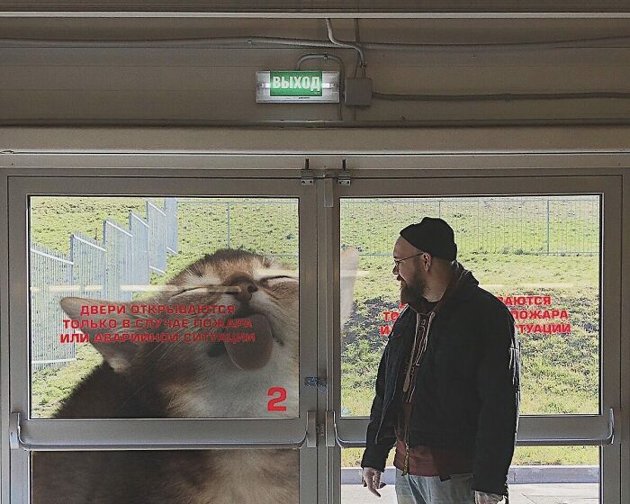 Gatos gigantes: Artista cria imagens realistas (42 fotos) 40