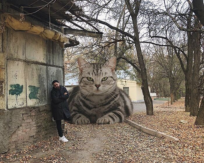 Gatos gigantes: Artista cria imagens realistas (42 fotos) 41