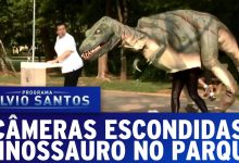 Pegadinha - Dinossauro no parque 12