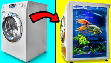 Ideias geniais que elevam a reciclagem a um novo patamar 9