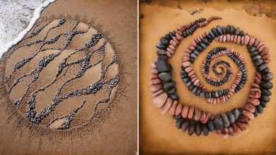 35 padrões surpreendentes: Arte com pedras, conchas e outros materiais naturais 2