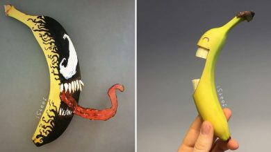 A arte inusitada de Stephan Brusche: Transformando bananas em obras-primas (32 fotos) 22