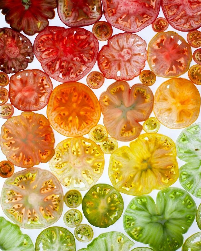 Conheça Brittany Wright: Transformando comida em arte visual (35 fotos) 1