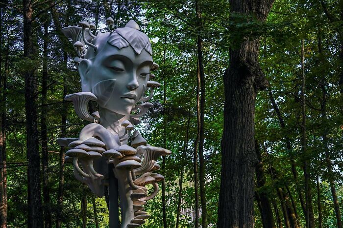 Daniel Popper: O artista que transforma a conexão humana com a natureza em arte monumental 1