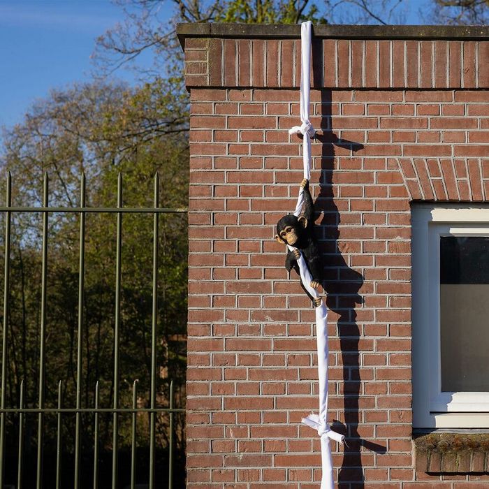 Frankey: O artista que transforma Amsterdã em um playground criativo (38 imagens) 1 Frankey: O artista que transforma Amsterdã em um playground criativo (38 imagens) 1