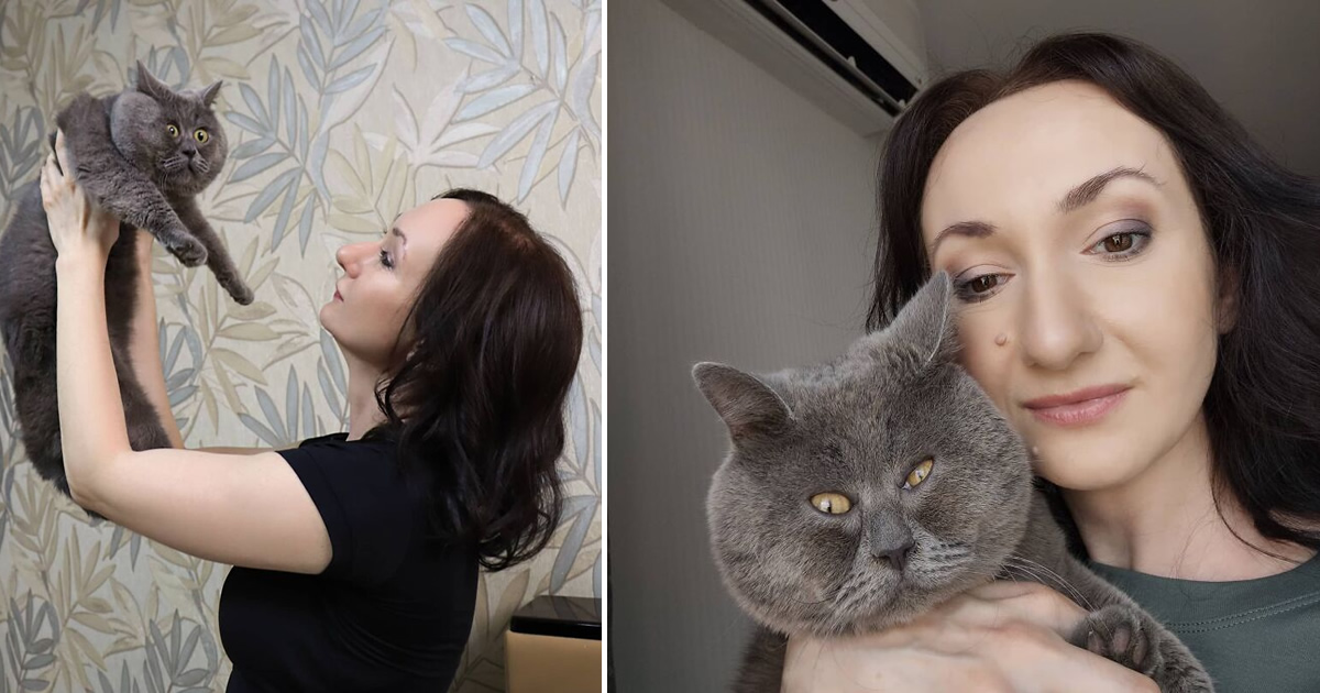 Gato engraçado e adorável conquista a internet com sua aparência única!