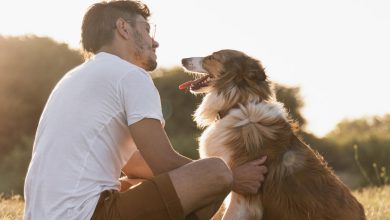 42 lições de vida que aprendi com meu pet: 7