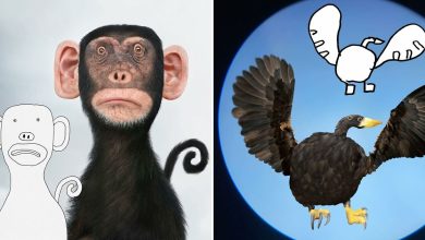 Transformações surreais: Pai dá vida aos desenhos das crianças com photoshop! (32 imagens) 30