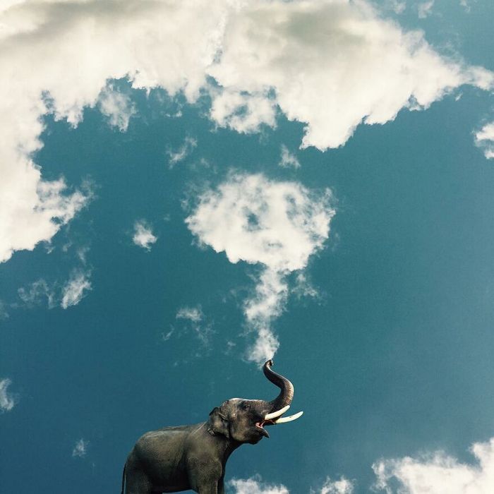 Transformando nuvens em arte: A magia da série fotográfica de Markus Einspannier (32 fotos) 8