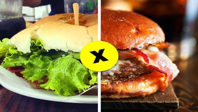 Você prefere comida normal ou comida chique? 3
