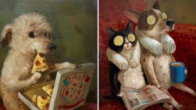 Arte e felicidade: Pinturas de animais de estimação que vão fazer você sorrir (30 fotos) 41