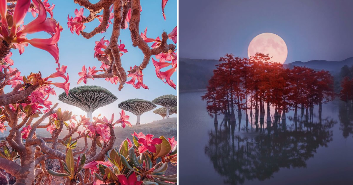 Kristina Makeeva: Capturando a beleza incomum do mundo (29 fotos)