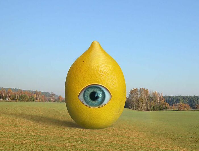 Mente criativa do artista Ceslovas Cesnakevicius (17 fotos) 13