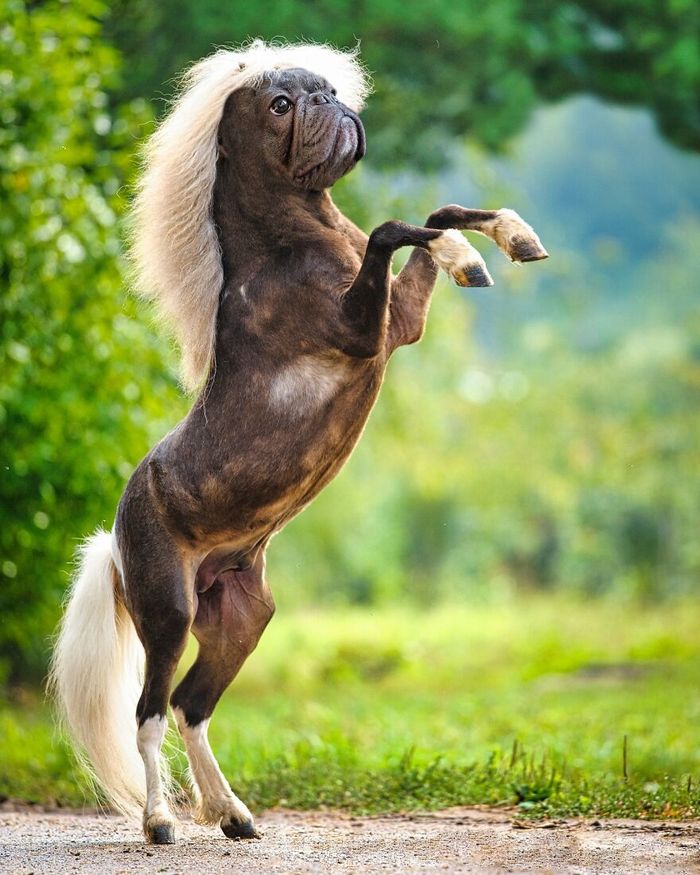 O artista por trás de Pixelmated Animals: Transformando tédio em criatividade viral 12