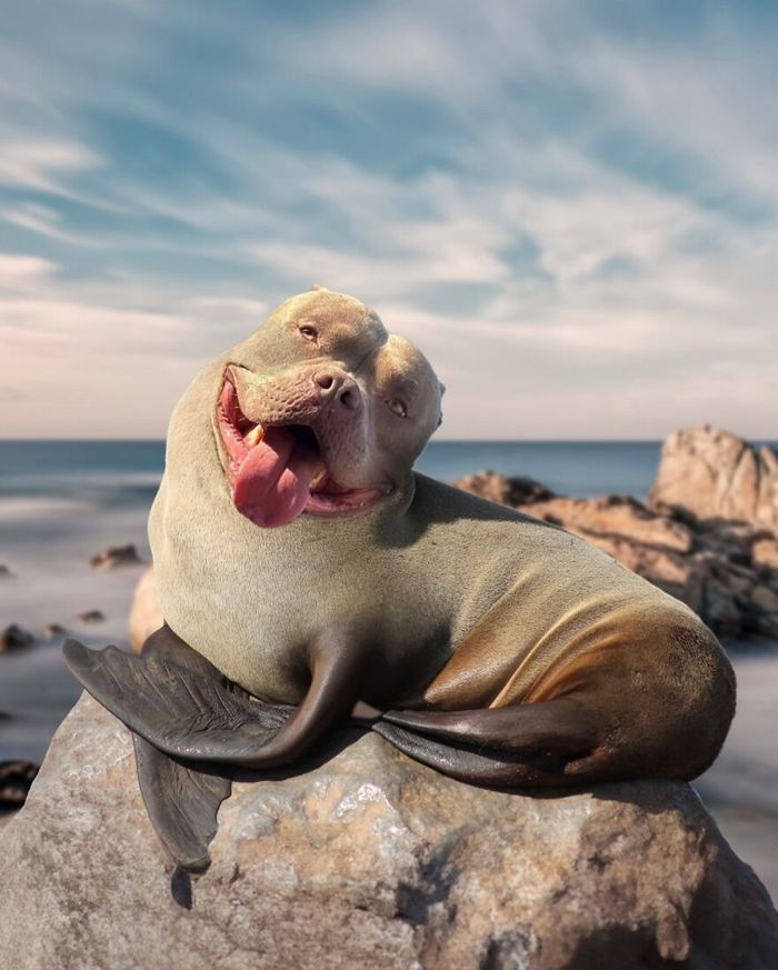 O artista por trás de Pixelmated Animals: Transformando tédio em criatividade viral 24