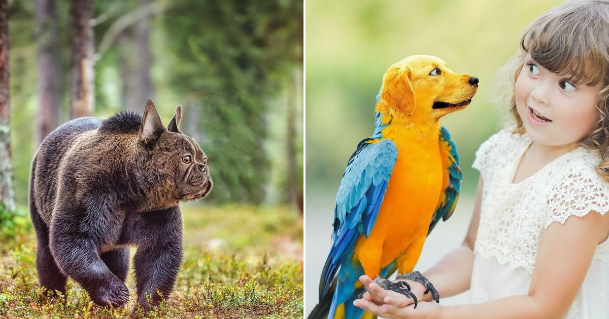 O artista por trás de Pixelmated Animals: Transformando tédio em criatividade viral