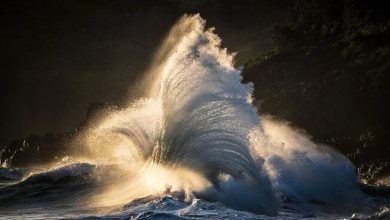 Ray Collins: O sussurrador das ondas que transformou a fotografia do oceano (28 fotos) 13