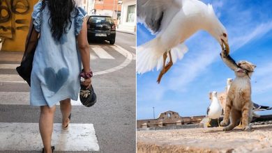 38 fotos que você não vai acreditar: A arte da fotografia de rua 35