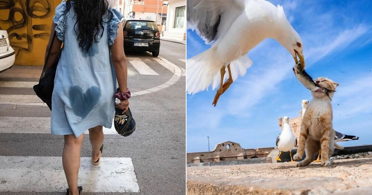 38 fotos que você não vai acreditar: A arte da fotografia de rua