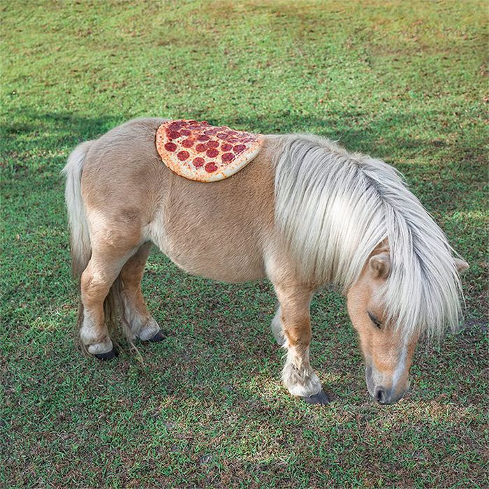 Homem lança pizzas na natureza e chama de arte. Isso é arte? 1