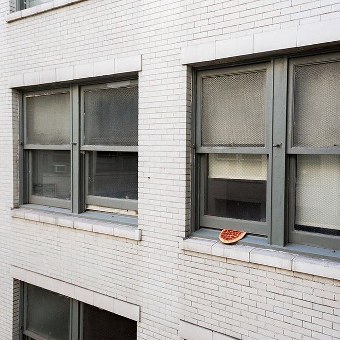 Homem lança pizzas na natureza e chama de arte. Isso é arte? 17