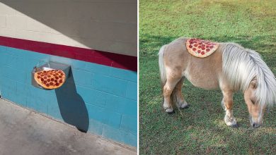 Homem lança pizzas na natureza e chama de arte. Isso é arte? 27