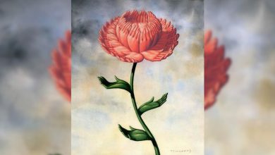 O que uma ilusão óptica revela sobre você? Faça o teste e descubra! 7