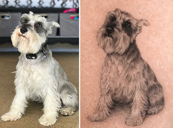 Tatuagens de Pets: A arte de Ria Kim e as histórias emocionantes por trás delas 2 Tatuagens de Pets: A arte de Ria Kim e as histórias emocionantes por trás delas 2