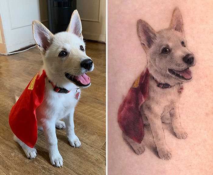 Tatuagens de Pets: A arte de Ria Kim e as histórias emocionantes por trás delas 3 Tatuagens de Pets: A arte de Ria Kim e as histórias emocionantes por trás delas 3
