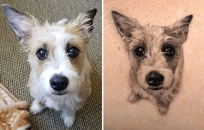 Tatuagens de Pets: A arte de Ria Kim e as histórias emocionantes por trás delas 5 Tatuagens de Pets: A arte de Ria Kim e as histórias emocionantes por trás delas 5